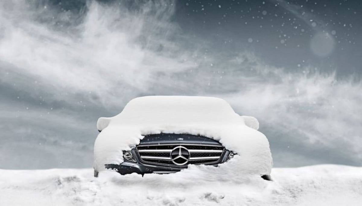 Survive Winter